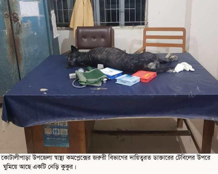 ডাক্তারের টেবিলের উপরে কুকুর!