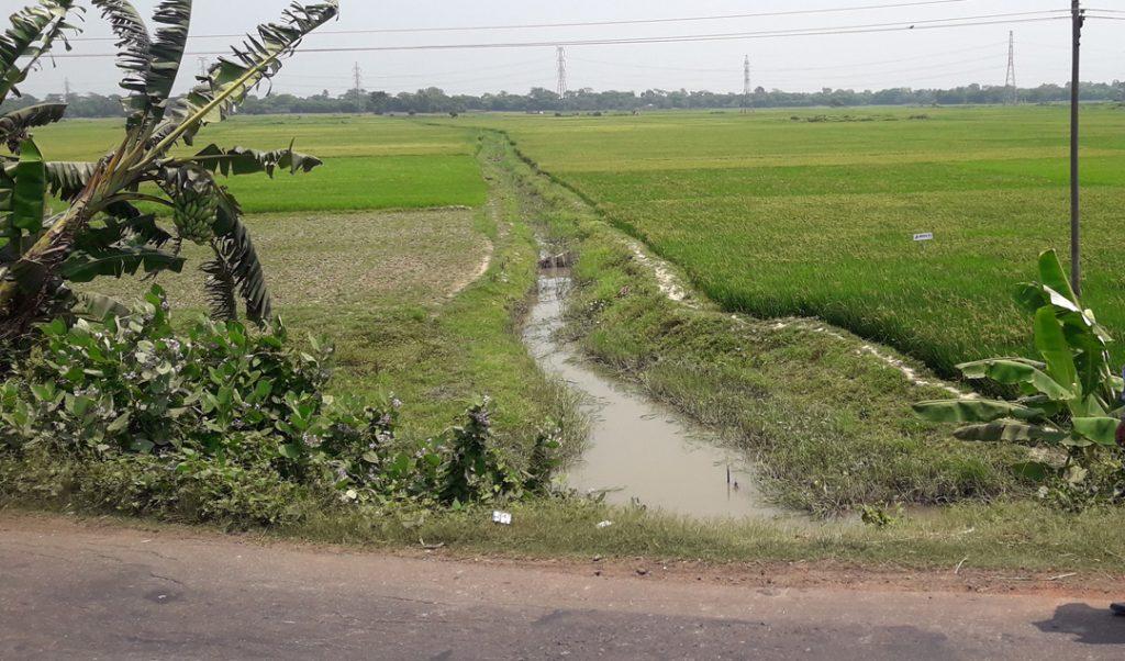 Gopalganj Agriculture Photo 3