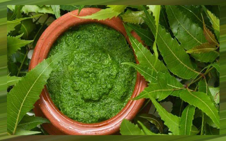 ক্যানসার সারানোর ওষধিগুণ লুকিয়ে নিমপাতায়