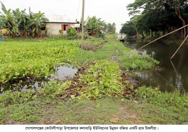 কোটালীপাড়ার উন্নয়ন বঞ্চিত একটি গ্রাম চিথলীয়া