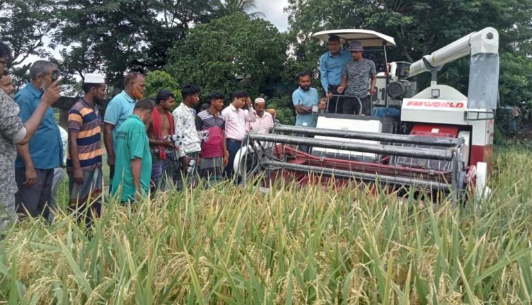 মুকসুদপুরে কম্বাইন হারভেষ্টারের মাধ্যমে বোরো ধান কর্তণ উদ্বোধন