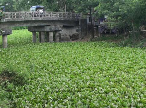 Gopalganj Canal Problem Photo 0202.06.2022