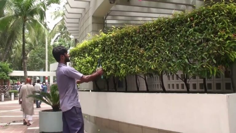 প্রধানমন্ত্রী শেখ হাসিনা টুঙ্গিপাড়ায় আসছেন