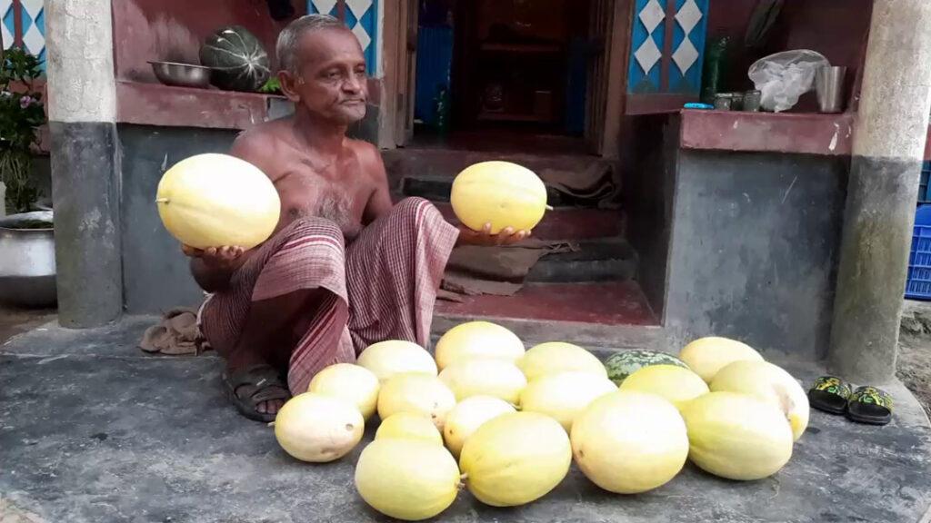 Gopalganj Sammam Fruit Cultivation Photo 0125.08.2022