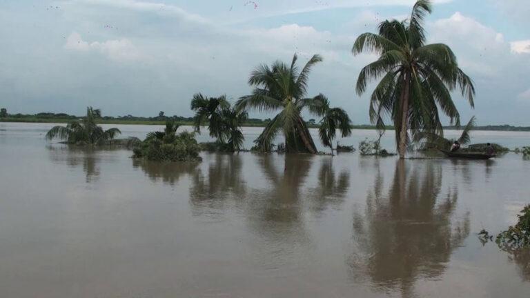 গোপালগঞ্জে মধুমতি নদীতে ভাঙ্গন, বাড়িঘর ভেঙ্গে নিরাপদ স্থানে যাচ্ছেন অনেকেই