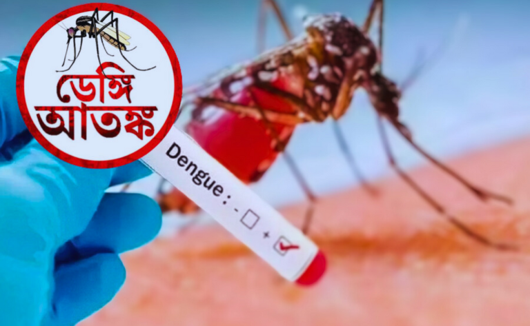ডেঙ্গি থেকে সেরে ওঠার পরেও কেন সাবধান হতে হবে?