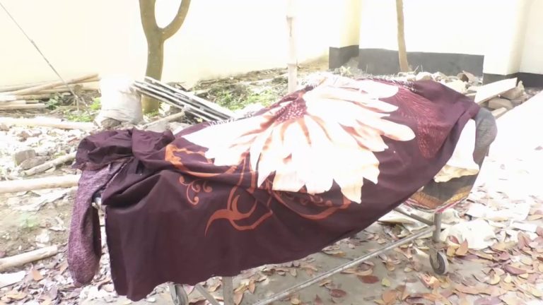 গোপালগঞ্জে ভাবীর লাঠির আঘাত দেবর নিহত