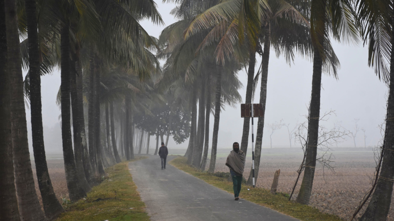 শৈত্যপ্রবাহে বিপর্যস্ত যশোর; বন্ধ থাকছে প্রাথমিক ও মাধ্যমিক বিদ্যালয়