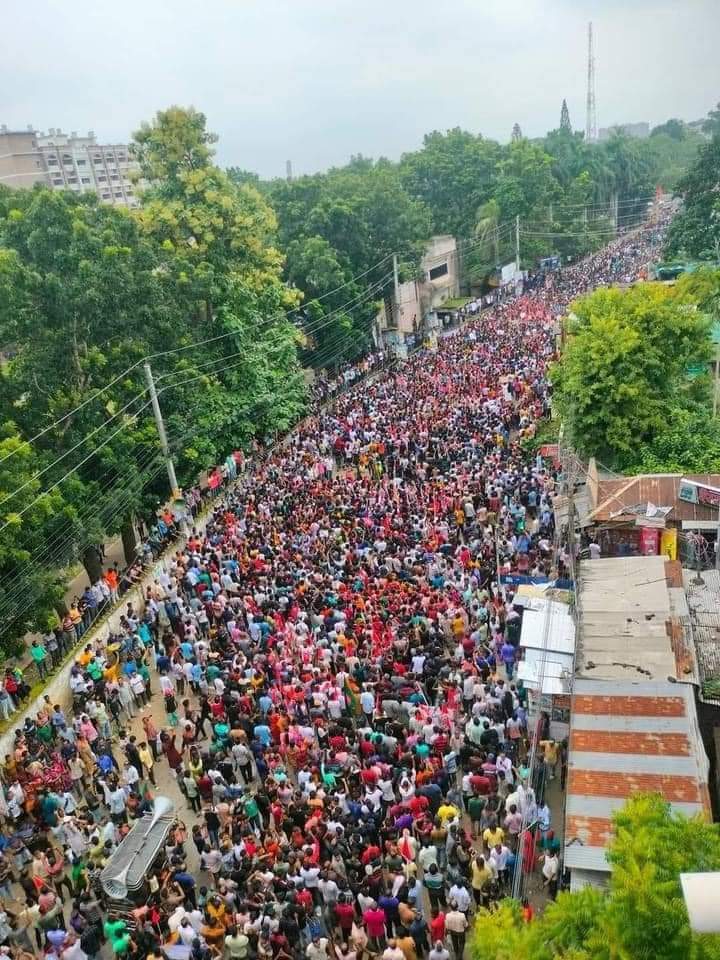 Gopalganj Human Chain & Protest Rally Photo 01(12.08.2024)