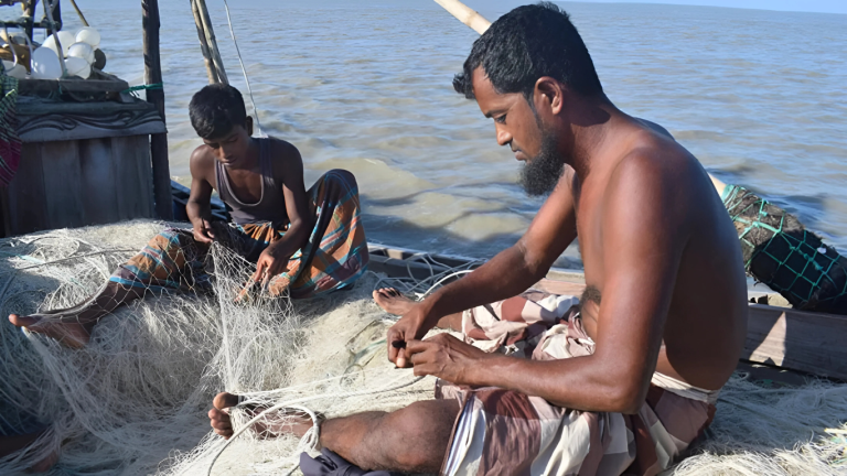 বাংলাদেশের জলসীমায় ভারতীয়দের রাজত্ব, অসহায় দেশি জেলেরা
