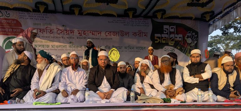 স্বার্থান্বেষীরা আমাদের সিঁড়ি হিসাবে ব্যবহার করে ক্ষমতায় গিয়েছে-চরমোনাই পীর