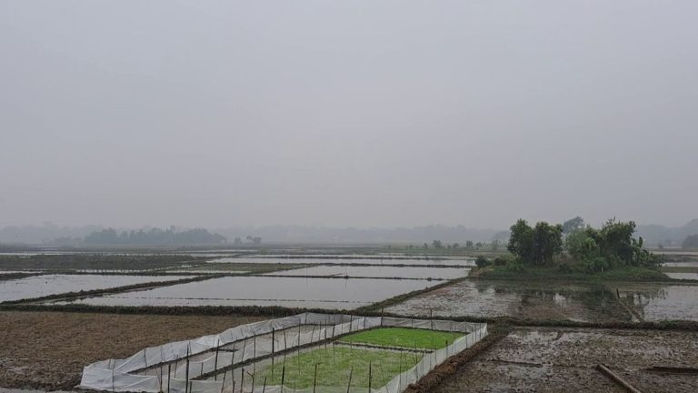 দেশের সর্বনিম্ন তাপমাত্রা গোপালগঞ্জে ১০ দশমিক ২ ডিগ্রী সেলসিয়াস