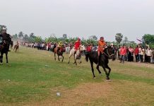 গোপালগঞ্জে অনুষ্ঠিত হলো গ্রাম বাংলার ঐতিহ্যবাহী ঘোড়দৌড় প্রতিযোগীতা immage 1000 01