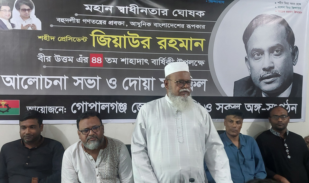 immage 1000 01 immage 1000 01