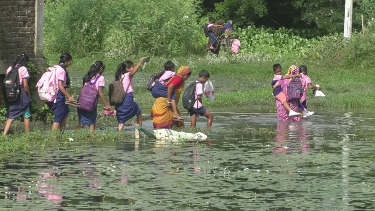 স্কুলে যাওয়াই যেন সংগ্রাম ! বাঁধা মাত্র ৩শ’ মিটার সড়ক