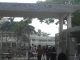 ৩ দিনে পাগলা কুকুরের কামড়ে ২৫ আহত জনের চিকিৎসা