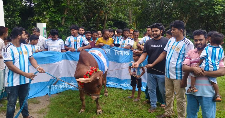 কোটালীপাড়ায় আর্জেন্টিনার ফাইনাল খেলা উপলক্ষে গরু জবাই করে ভূরিভোজের আয়োজন