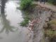 গোপালগঞ্জে ৪৬ টি স্থানে নদী ভাঙ্গন ঝুকি। শংকায় রাত কাটে ভাঙ্গন কবলিত এলাকার মানুষের