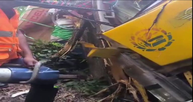 মুকসুদপুরে নিয়ন্ত্রণ হারিয়ে গাছের সঙ্গে ট্রাকের ধাক্কা, নিহত ১