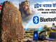 ব্লুটুথ নামের অজানা ইতিহাস: ভাইকিং রাজা, নীলচে দাঁত এবং ডেনমার্কের হাজার বছরের গল্প Images 10000 08